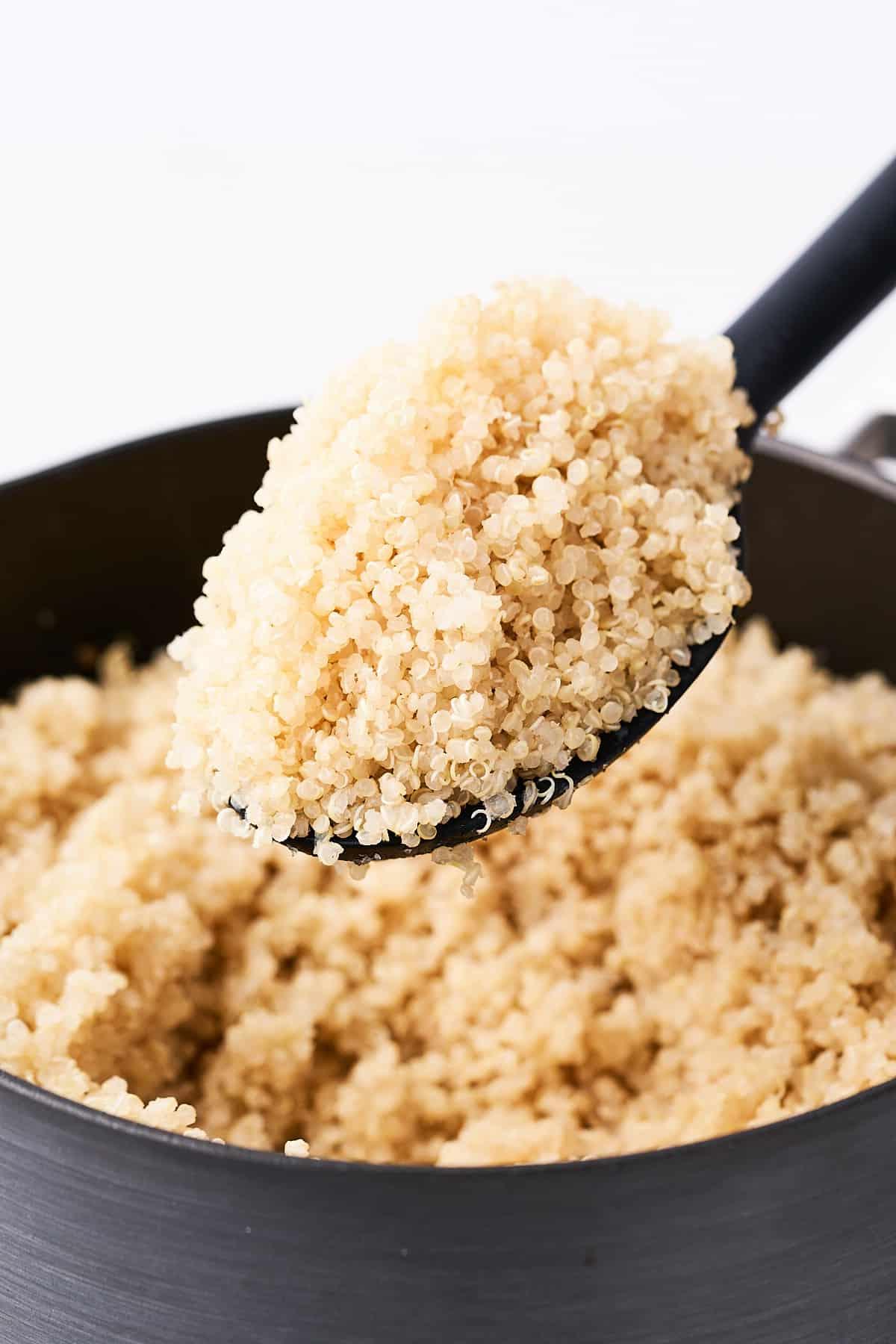Quinoa kochen (Gelingsicheres Rezept) 2 Quinoa kochen Anleitung