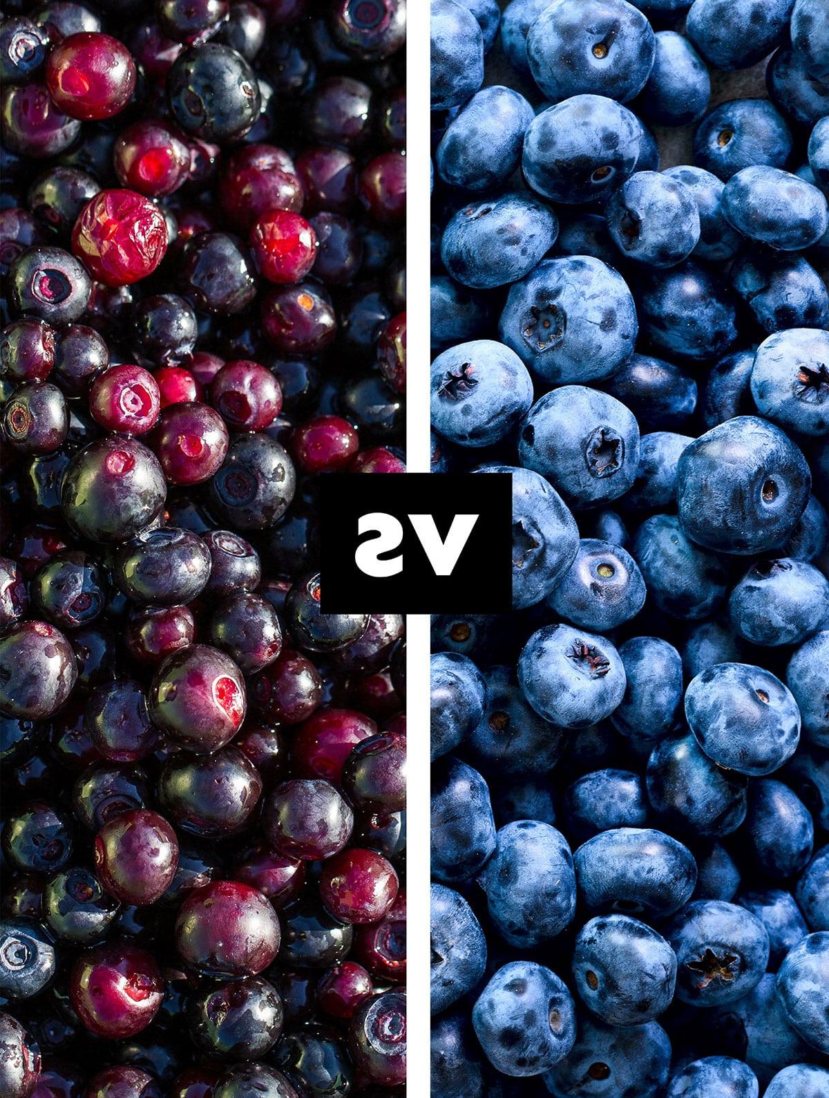 **Blaubeere vs. Huckleberry: Was ist der Unterschied?** 2 Collage von Heidelbeeren und Huckleberries.