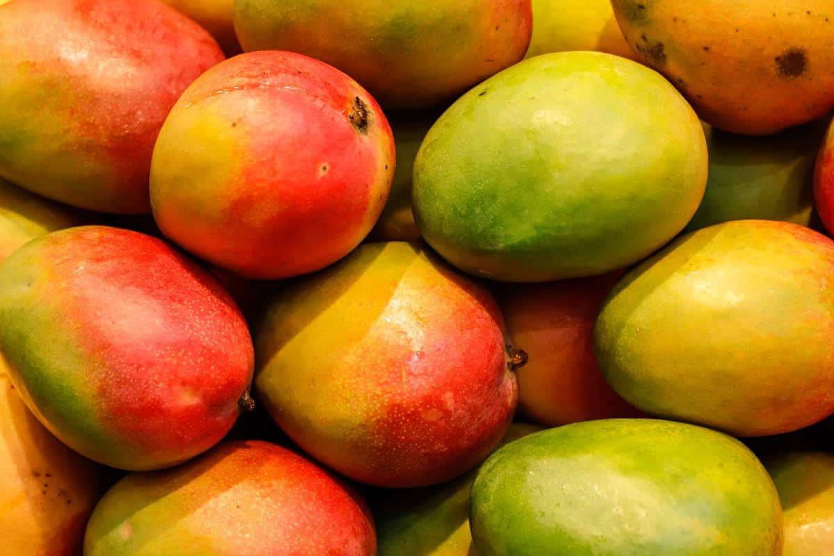 17 Früchte, die mit F anfangen (Mit Fotos!) 12 Viele Fascell Mangos.