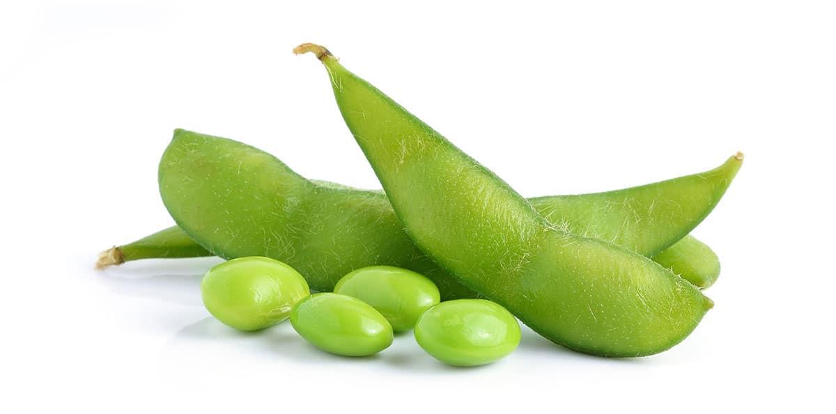29 Bohnensorten von A bis Z (Mit Fotos!) 13 Edamame-Bohnen isoliert auf weißem Hintergrund.