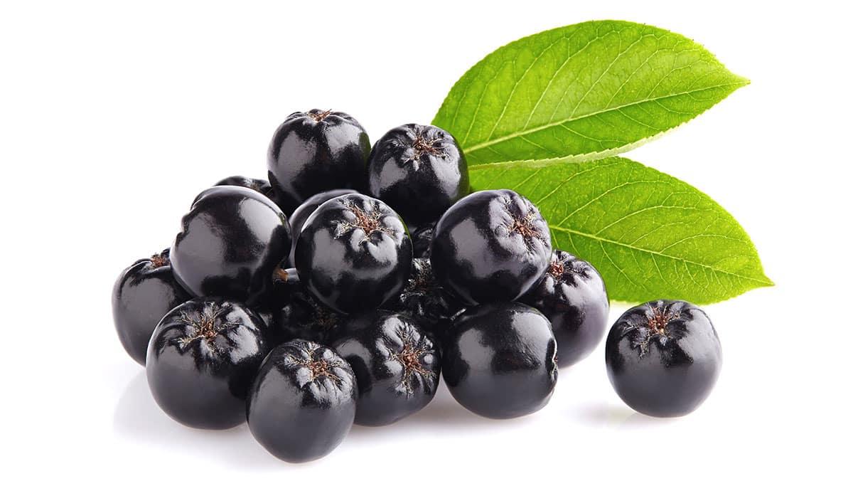31 Gesunde Blaue Früchte (Mit Fotos!) 13 Aroniabeeren