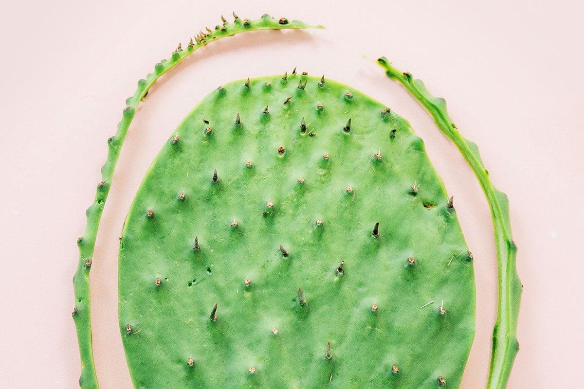 Schritt 1 der Nopales Zubereitung.