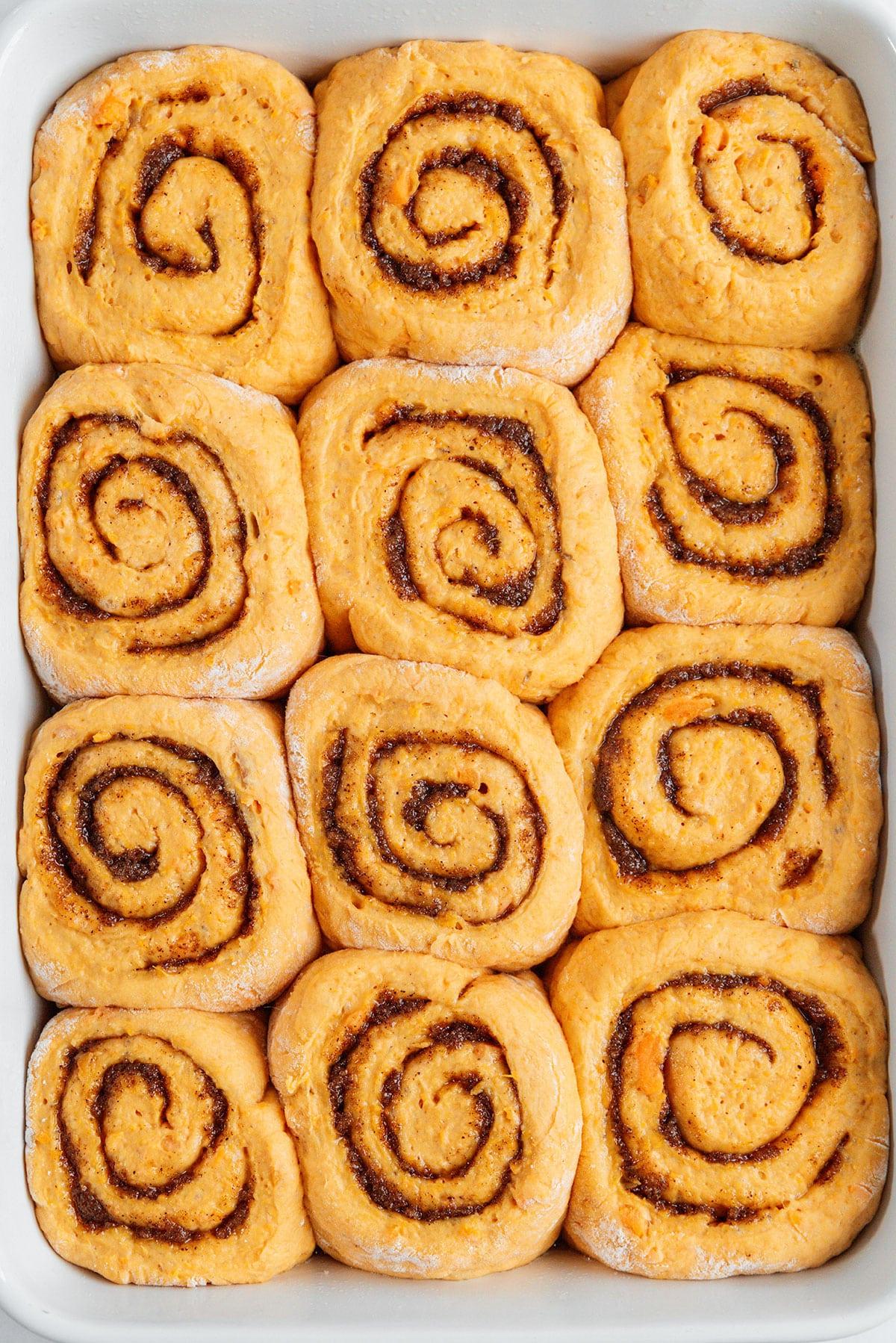 Süßkartoffel-Zimtschnecken 16 Ungebackene Zimtschnecken nach dem Gehenlassen.