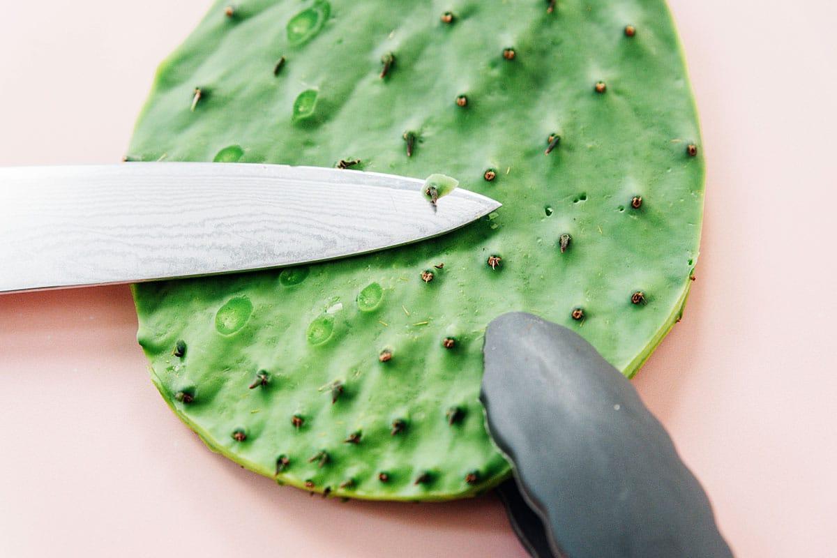 Ein Messer wird verwendet, um Dornen von einem grünen Kaktuspaddel auf einer hellen Oberfläche zu entfernen, ein wesentlicher erster Schritt, um Nopales kochen zu lernen.