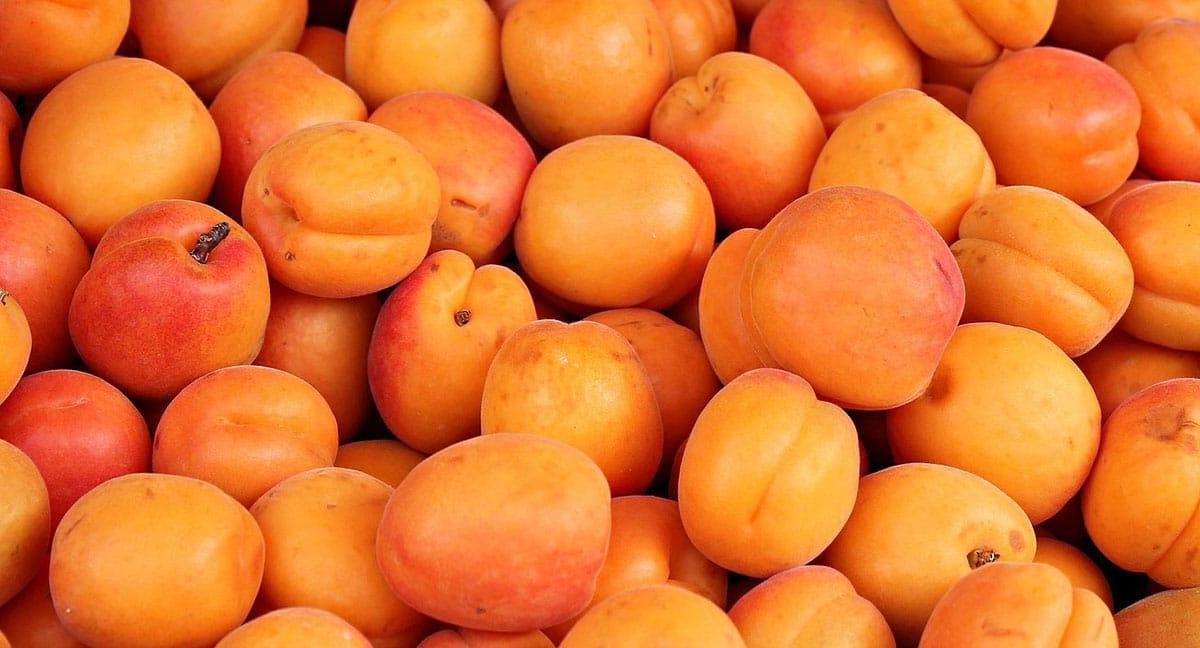 17 Frühlingsfrüchte, die man diese Saison essen sollte 3 Nahaufnahme vieler Aprikosen