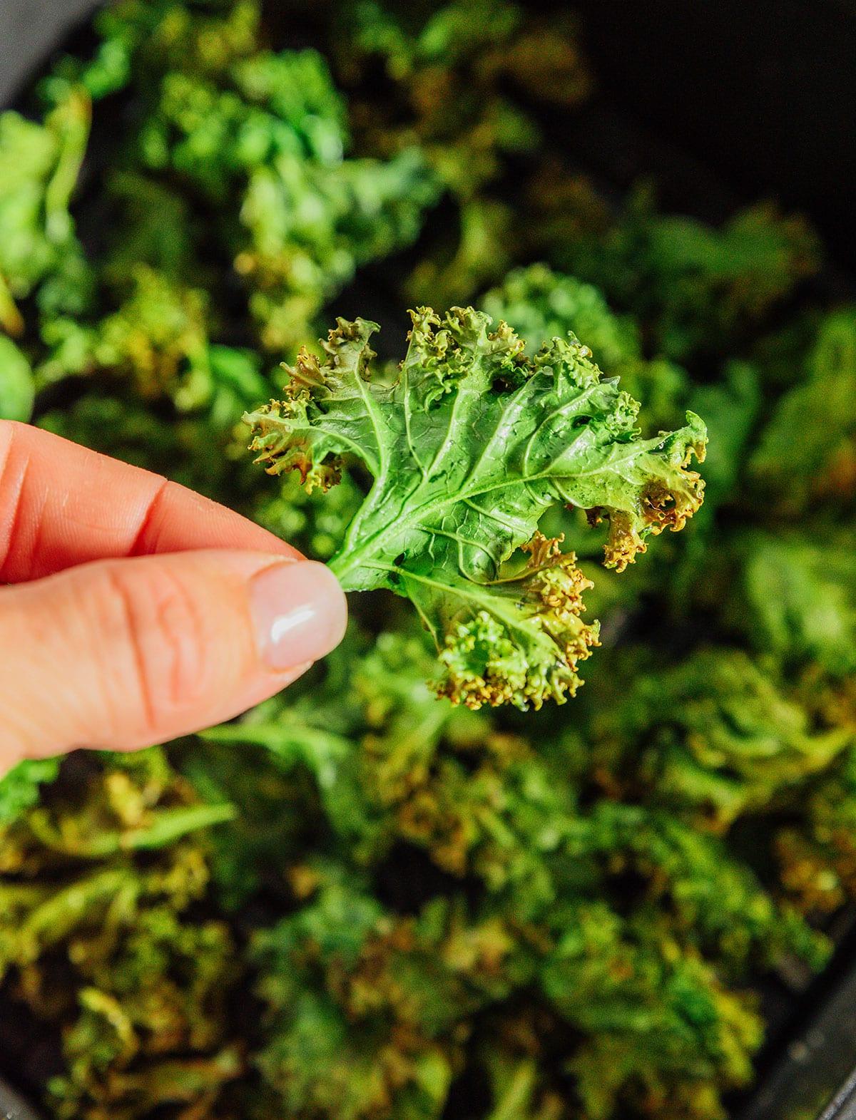 Vegetarische 31-Tage-Herausforderung 21 Ein knuspriger Grünkohl-Chip wird hochgehalten.