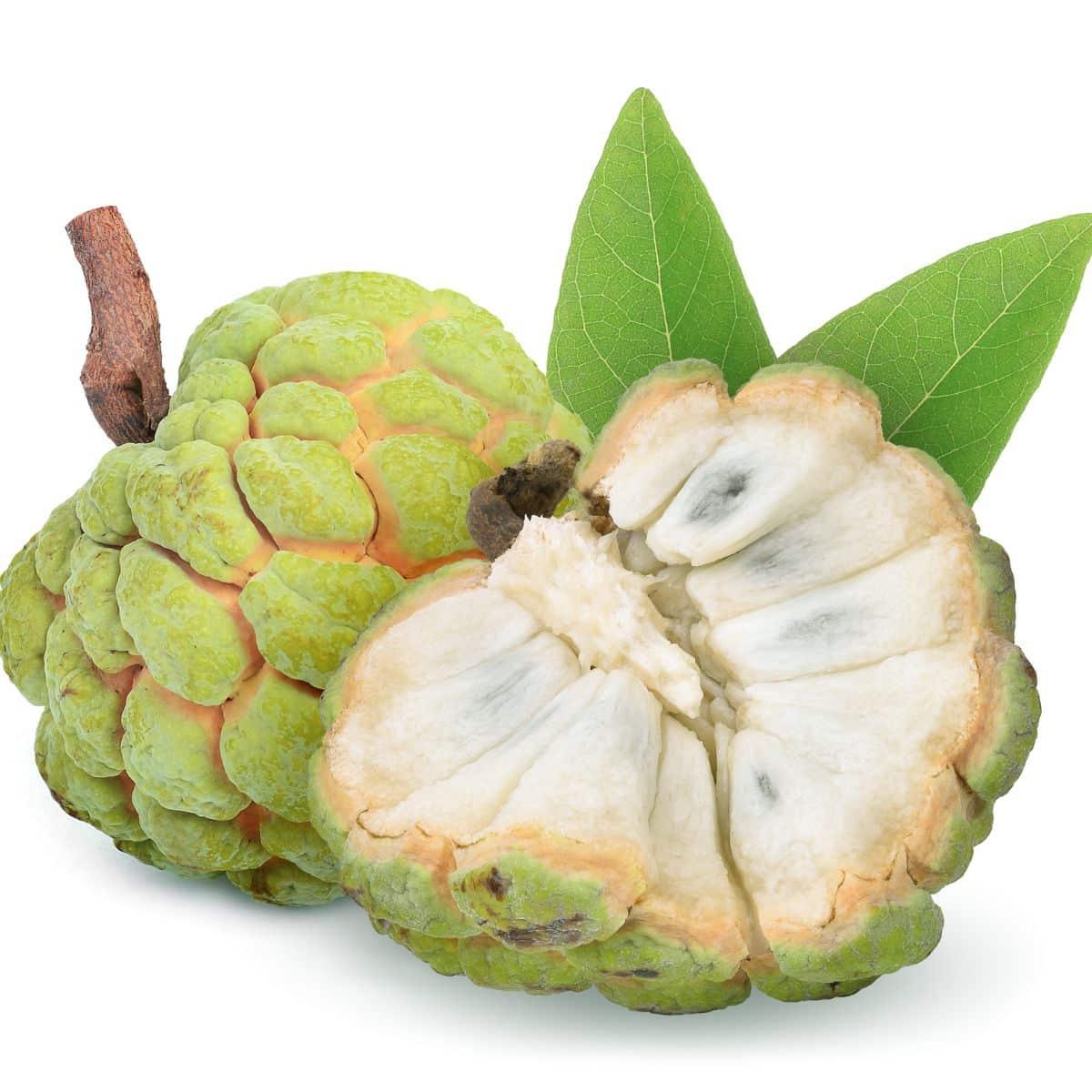 **Gemüseliste: 240 Gemüse von A bis Z** 22 Ububese Frucht auf weißem Hintergrund.