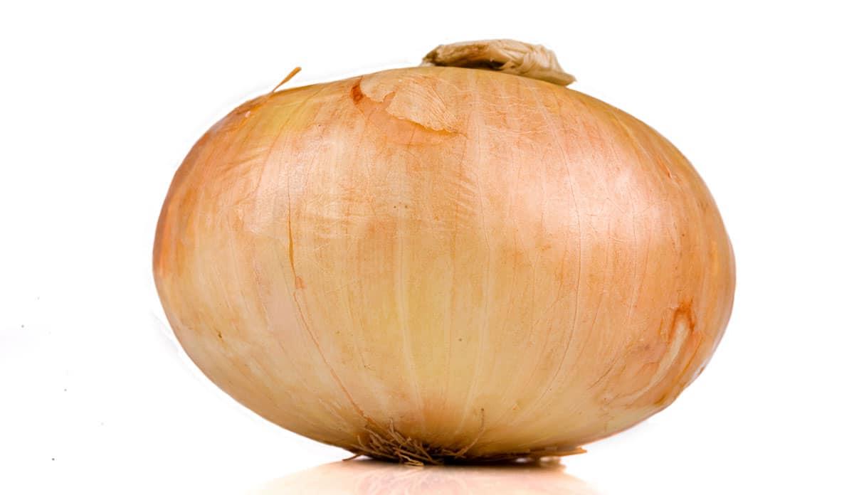 **Gemüseliste: 240 Gemüse von A bis Z** 23 Vidalia-Zwiebel auf weißem Hintergrund.