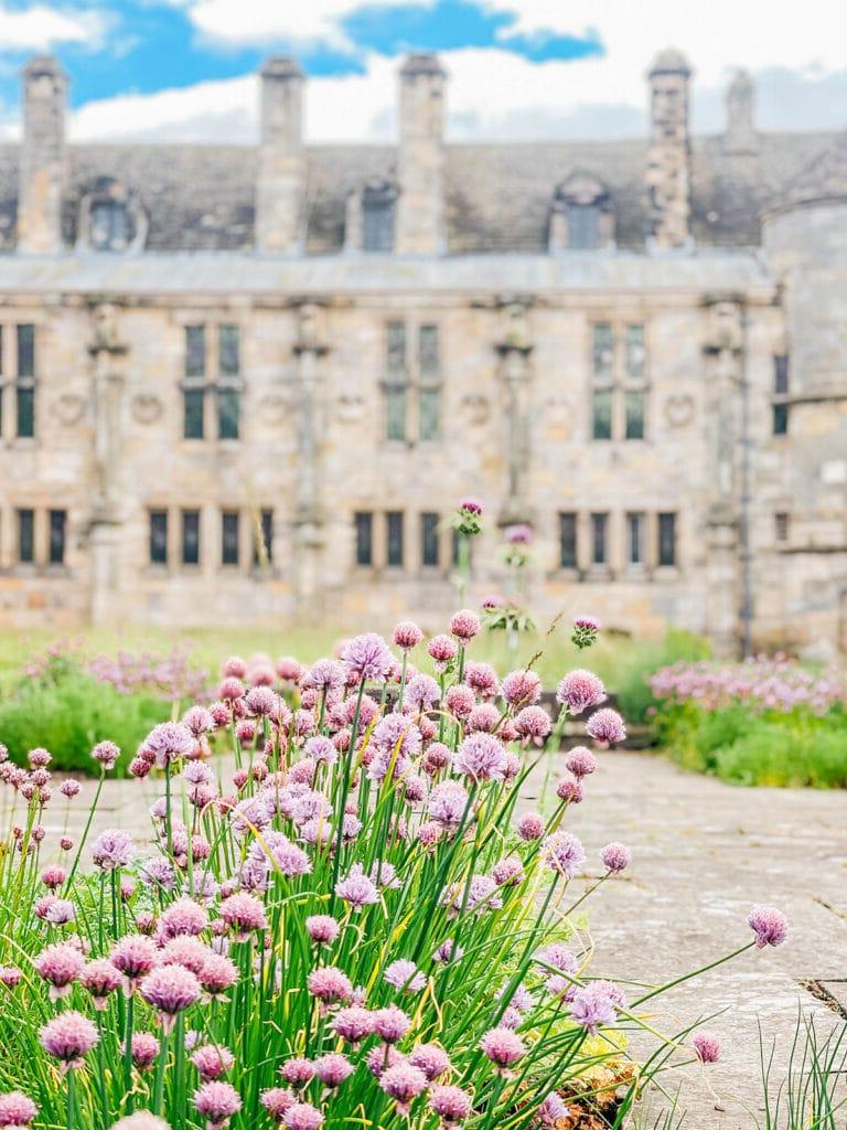 Ein Sassenach in Schottland 23 Die Mauern des Edinburgh Castle
