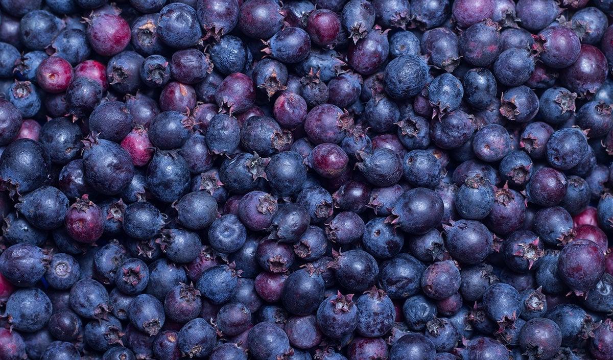 31 Gesunde Blaue Früchte (Mit Fotos!) 25 Saskatoon-Beeren
