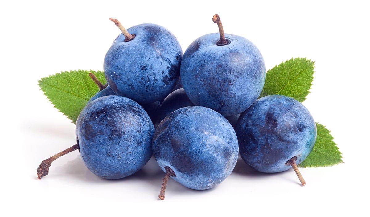 31 Gesunde Blaue Früchte (Mit Fotos!) 26 Schlehenbeeren