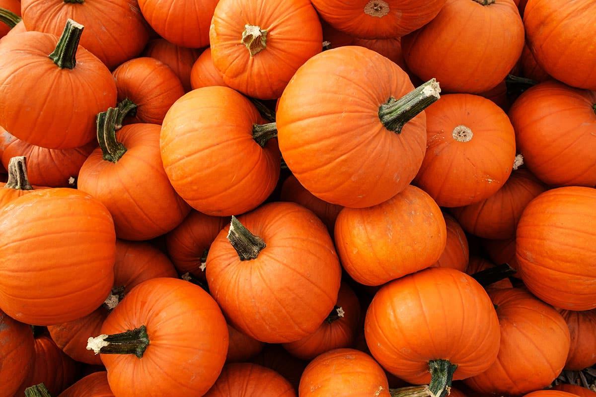 **Gemüseliste: 240 Gemüse von A bis Z** 28 Leuchtend orangefarbene Kürbisse oder Karotten.