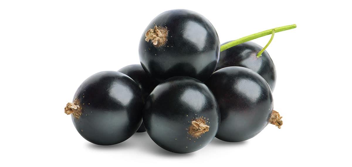 31 Gesunde Blaue Früchte (Mit Fotos!) 4 Schwarze Johannisbeeren