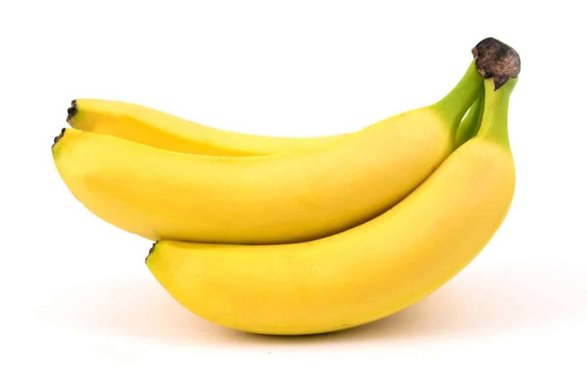 17 Frühlingsfrüchte, die man diese Saison essen sollte 5 Cavendish Bananenstaude auf weißem Hintergrund.