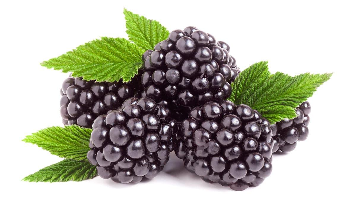 31 Gesunde Blaue Früchte (Mit Fotos!) 5 Brombeeren