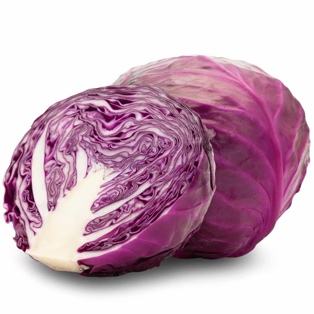 **Gemüseliste: 240 Gemüse von A bis Z** 6 Aufgeschnittener Rotkohl auf weißem Hintergrund.