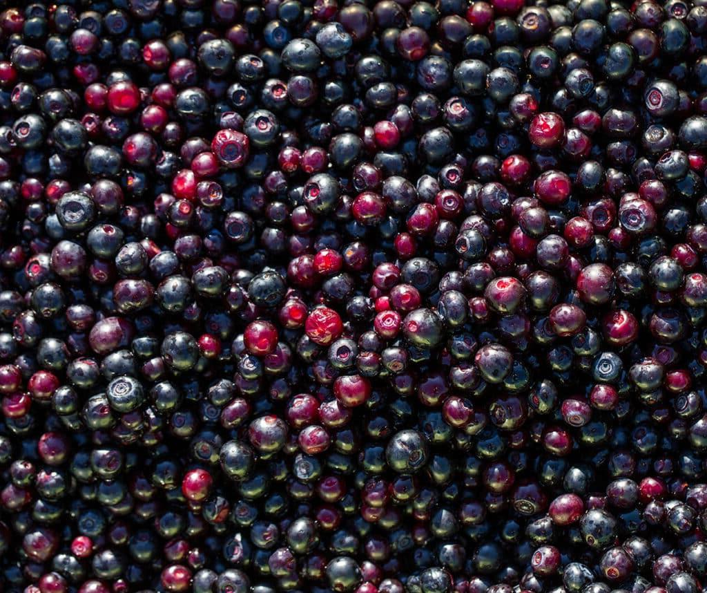 **Blaubeere vs. Huckleberry: Was ist der Unterschied?** 6 Huckleberries.