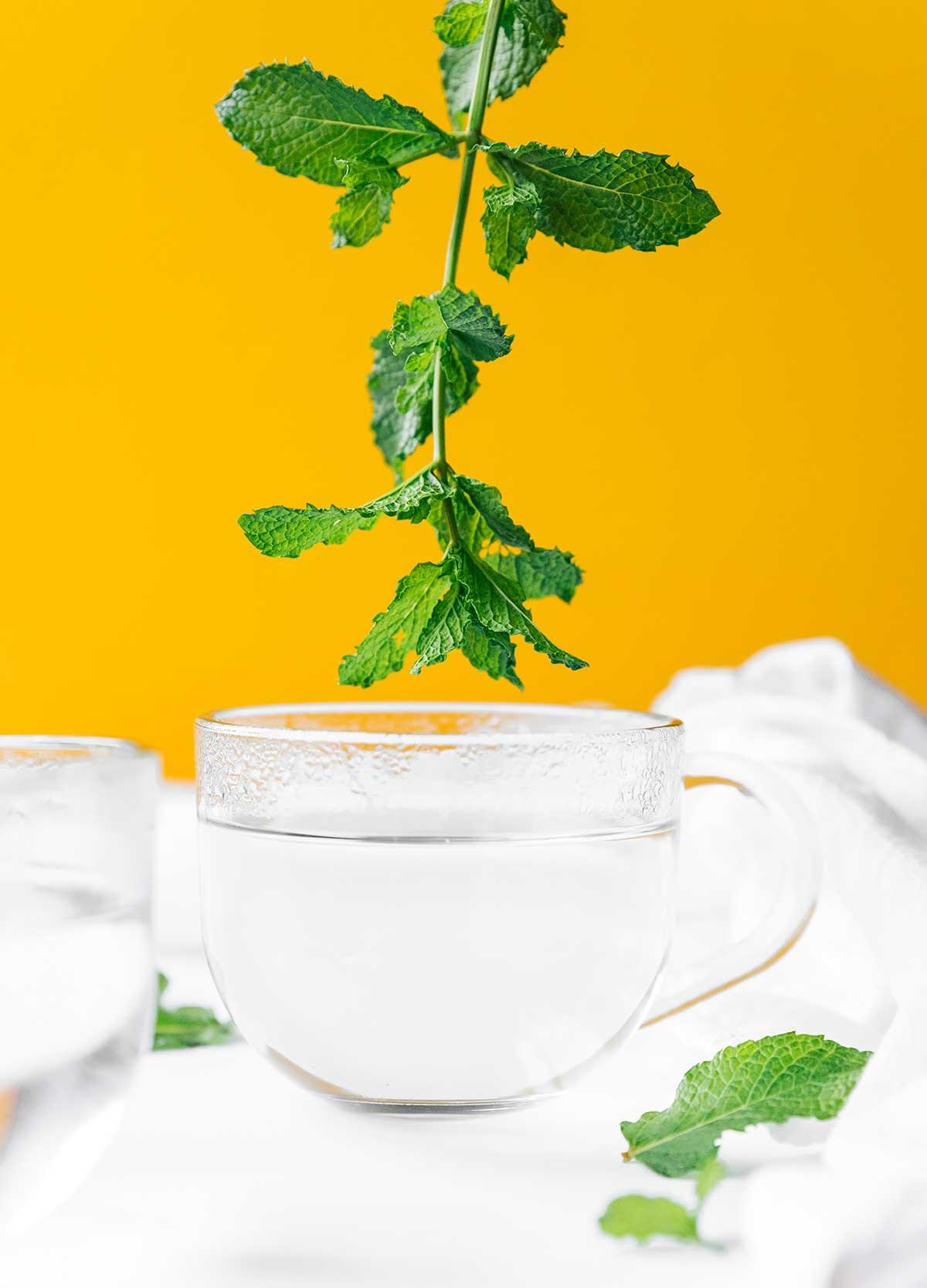 Frische Minze in ein Glas heißes Wasser geben
