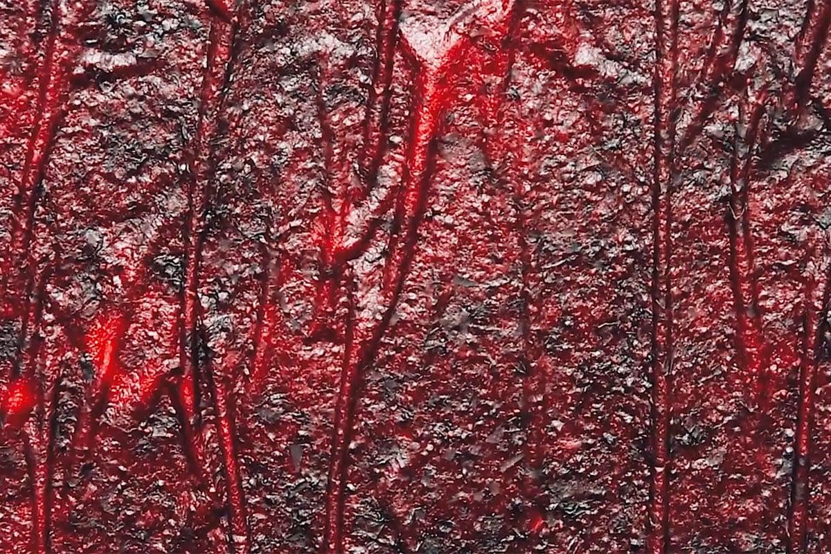 Gesunde selbstgemachte Fruchtleder 7 Fruchtleder auf einem Backblech.
