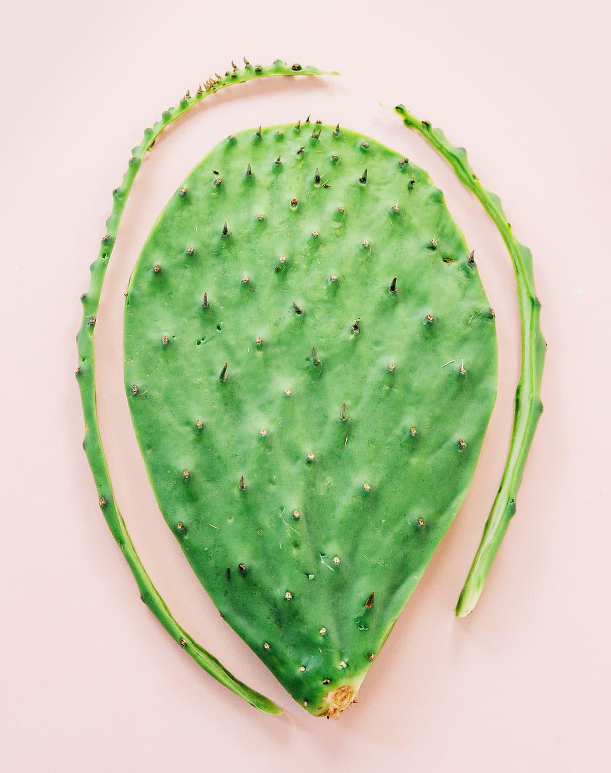 Nopales zubereiten (Kaktusblätter!) 7 Die Ränder von Kaktuspaddeln abschneiden