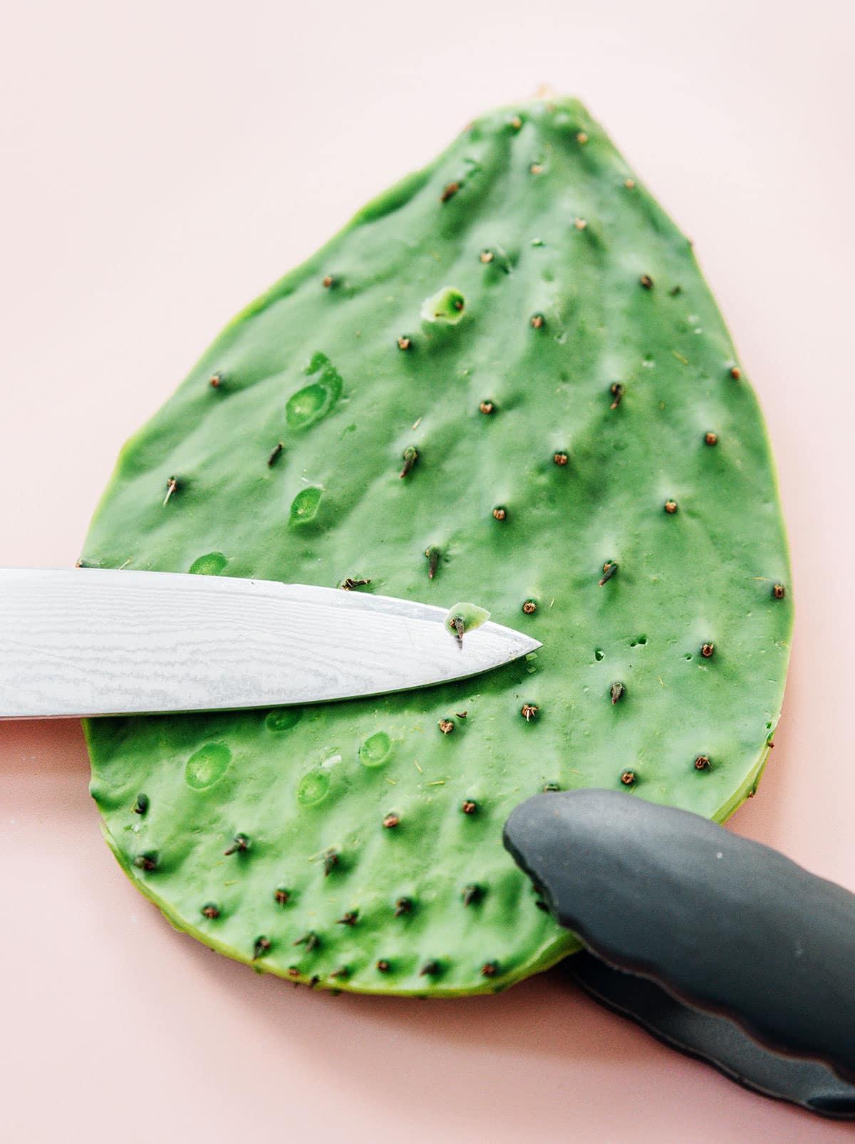 Nopales zubereiten (Kaktusblätter!) 8 Dornen von Kaktuspaddeln abschneiden