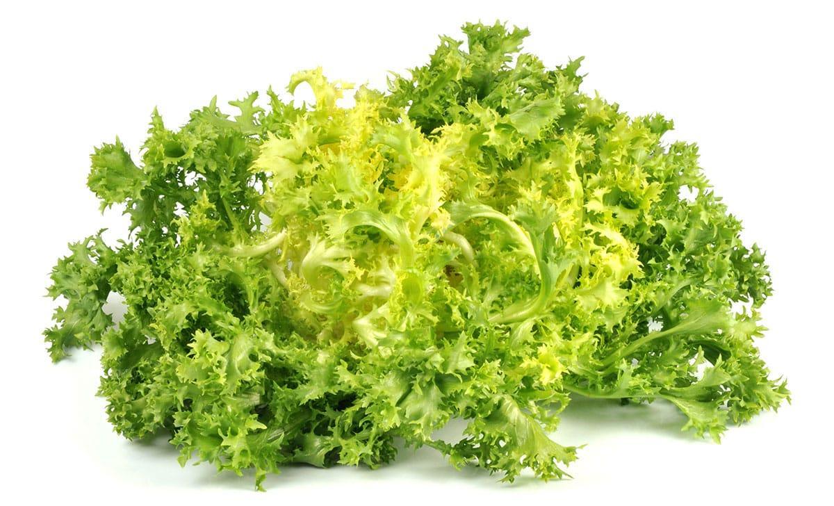 **Gemüseliste: 240 Gemüse von A bis Z** 9 Frisée-Salat auf weißem Hintergrund.