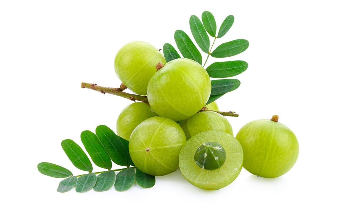 17 Frühlingsfrüchte, die man diese Saison essen sollte 9 Indische Stachelbeere isoliert auf weißem Hintergrund.