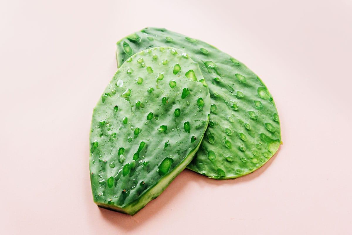 Nopales zubereiten (Kaktusblätter!) 9 Kaktuspaddel, von denen die Dornen abgeschnitten wurden