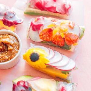 Essblumen-Frühlingsrollen 10 Essbare Blüten-Sommerrollen, die mit Farbnuancen platzen, Radieschen und Gurke enthalten und neben einer kleinen Schale mit Dip-Sauce auf einer hellrosa Oberfläche serviert werden.