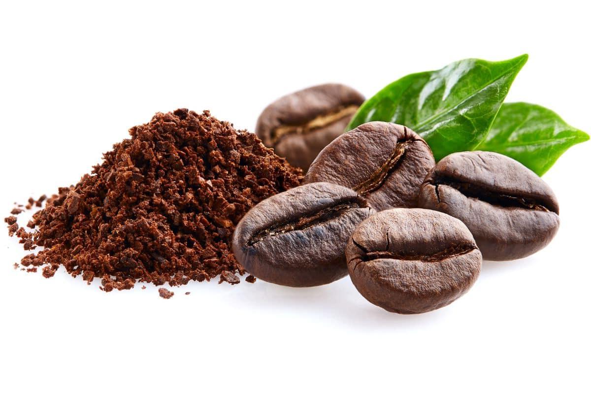 12 Ersatzstoffe für Kakaopulver (und wie man sie verwendet) 10 Espressopulver und Bohnen auf weißem Hintergrund.