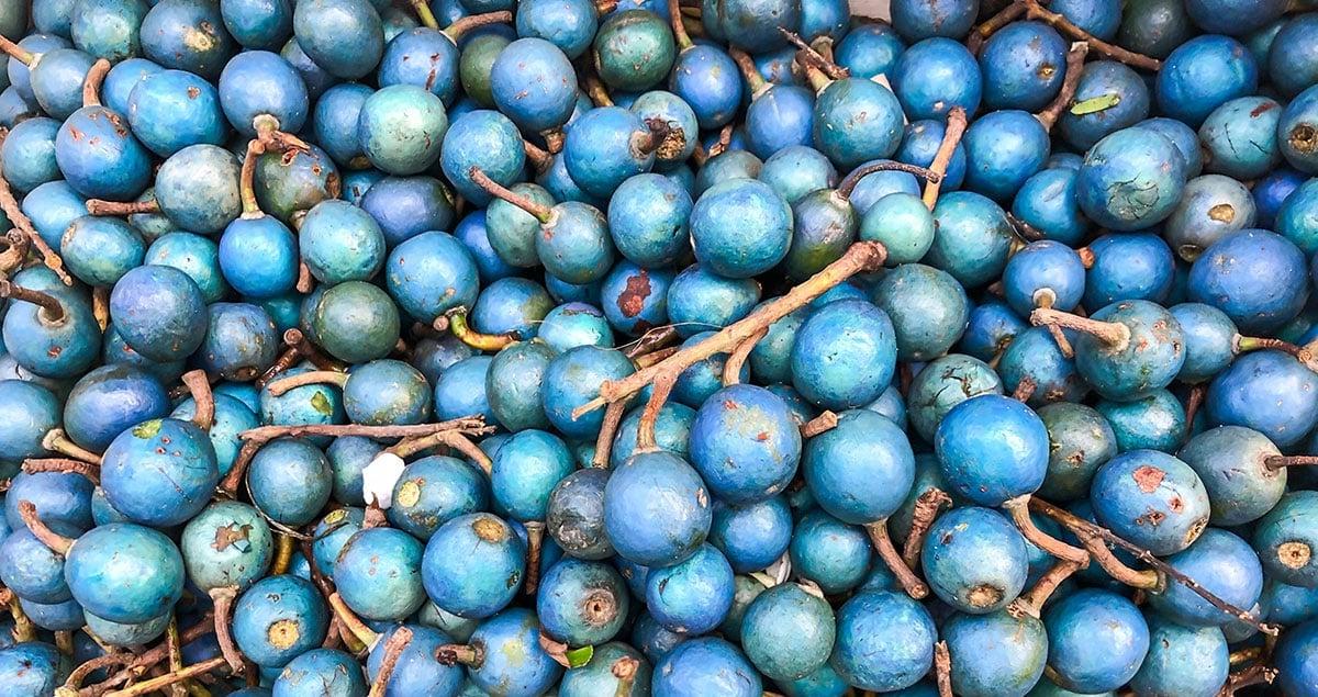 31 Gesunde Blaue Früchte (Mit Fotos!) 10 Blaue Oliven