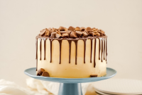Decadent Chocolate Peanut Butter Cake