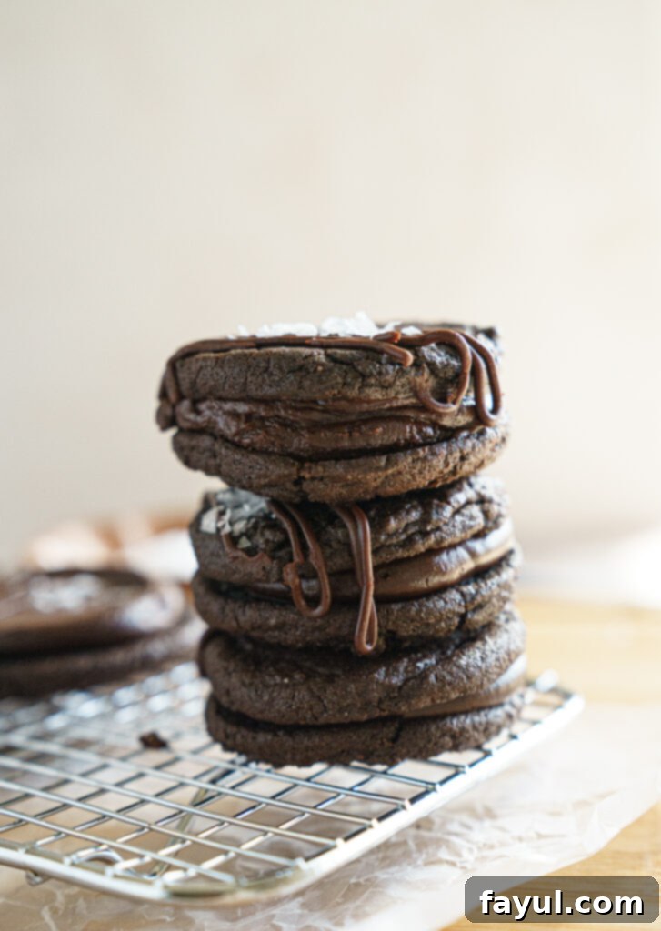 Double chocolate cookie sandwiches with ganache