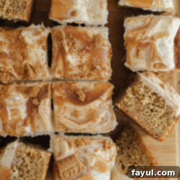 caramel biscoff cake recipe image