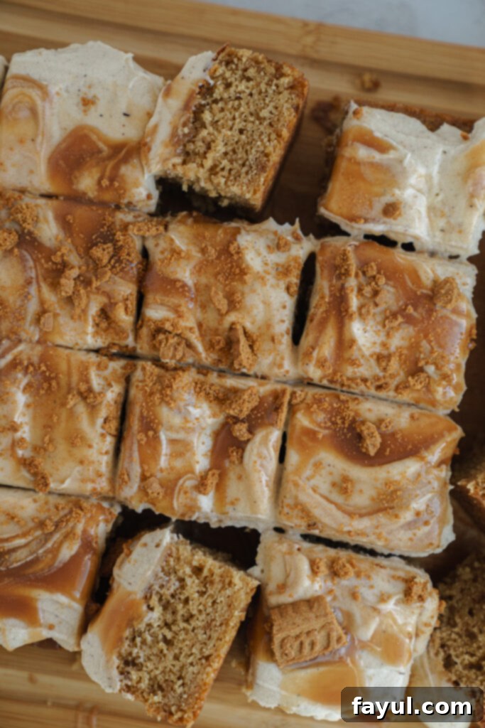 Beautifully frosted Caramel Biscoff Cake with crushed cookies