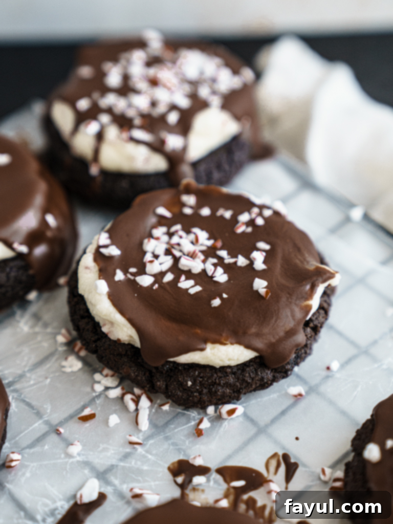 Festive Chocolate Peppermint Bark Cookies 2 peppermint bark cookies