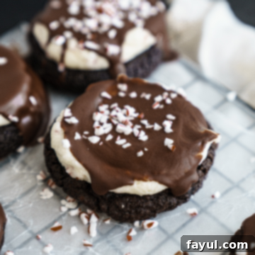 Festive Chocolate Peppermint Bark Cookies 7 peppermint bark cookies