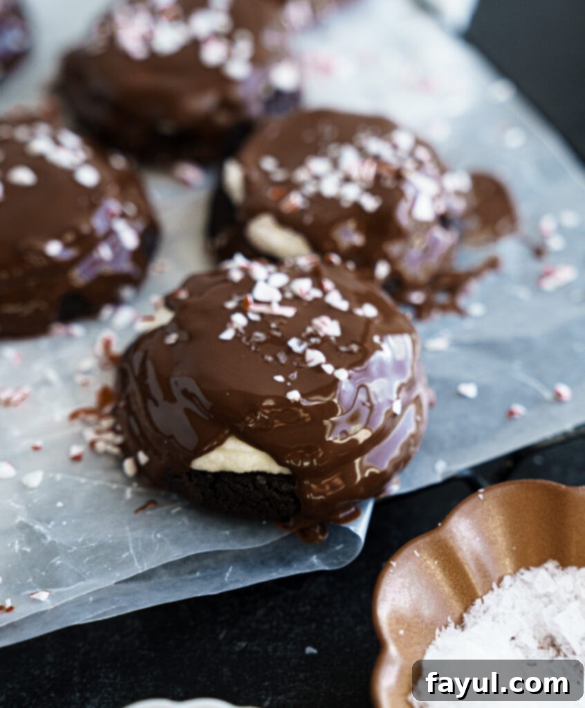 Festive Chocolate Peppermint Bark Cookies 5 Two peppermint bark cookies on a white surface.