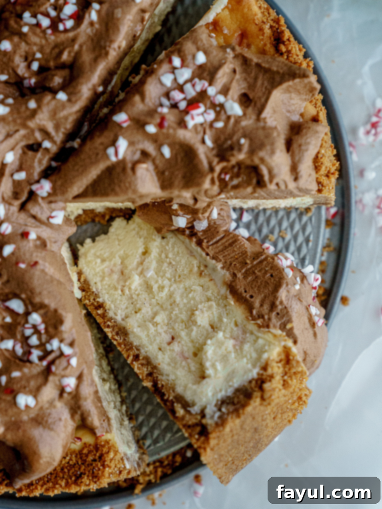 Rich Peppermint Mocha Cheesecake slice garnished with crushed candy canes and chocolate shavings