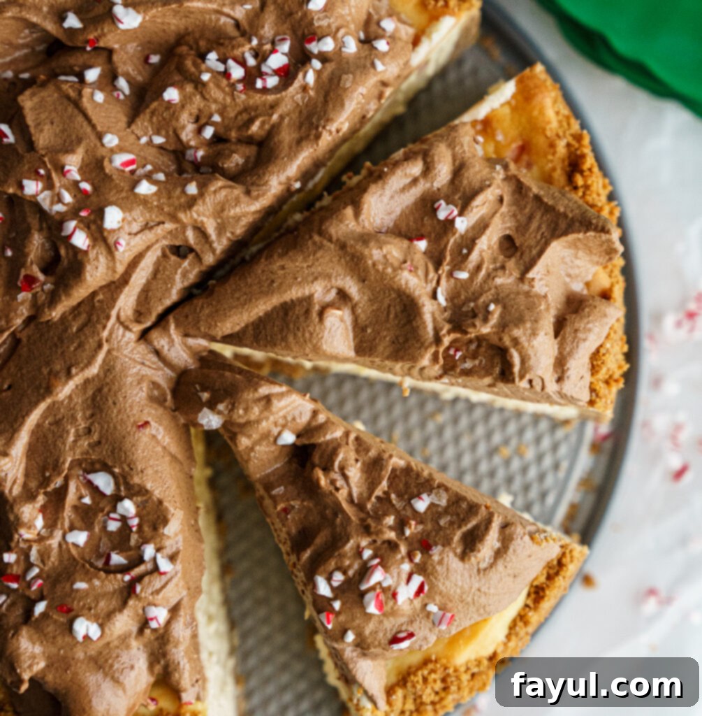 Close-up of creamy peppermint mocha cheesecake with festive garnish