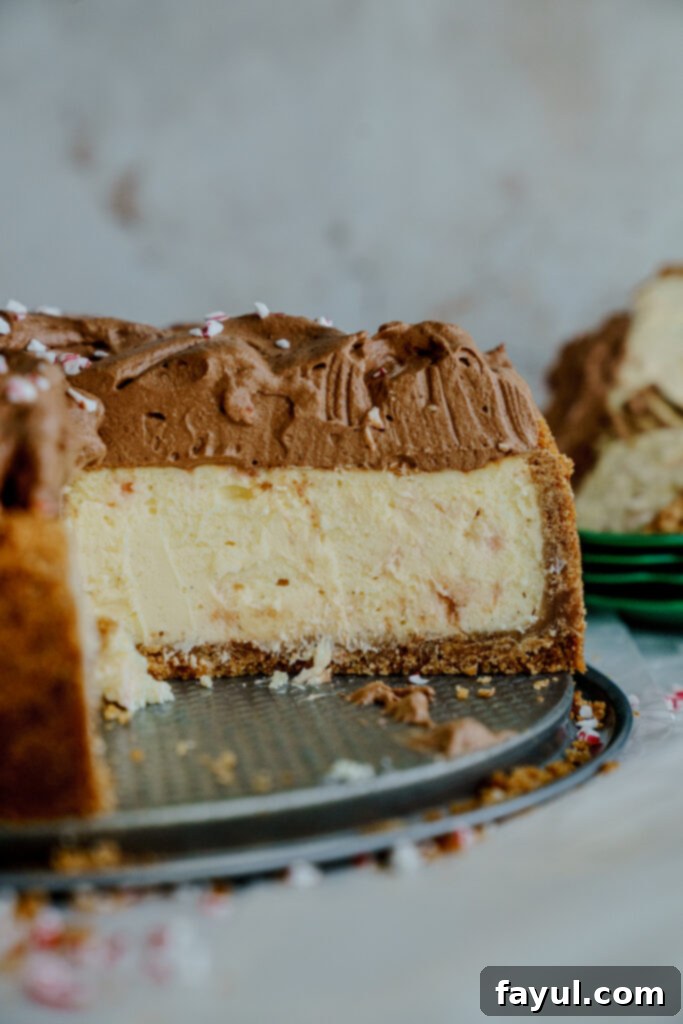 Peppermint Mocha Cheesecake on a cake stand, decorated with festive garnishes