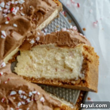 Full Peppermint Mocha Cheesecake with a slice removed, showing layers and topping