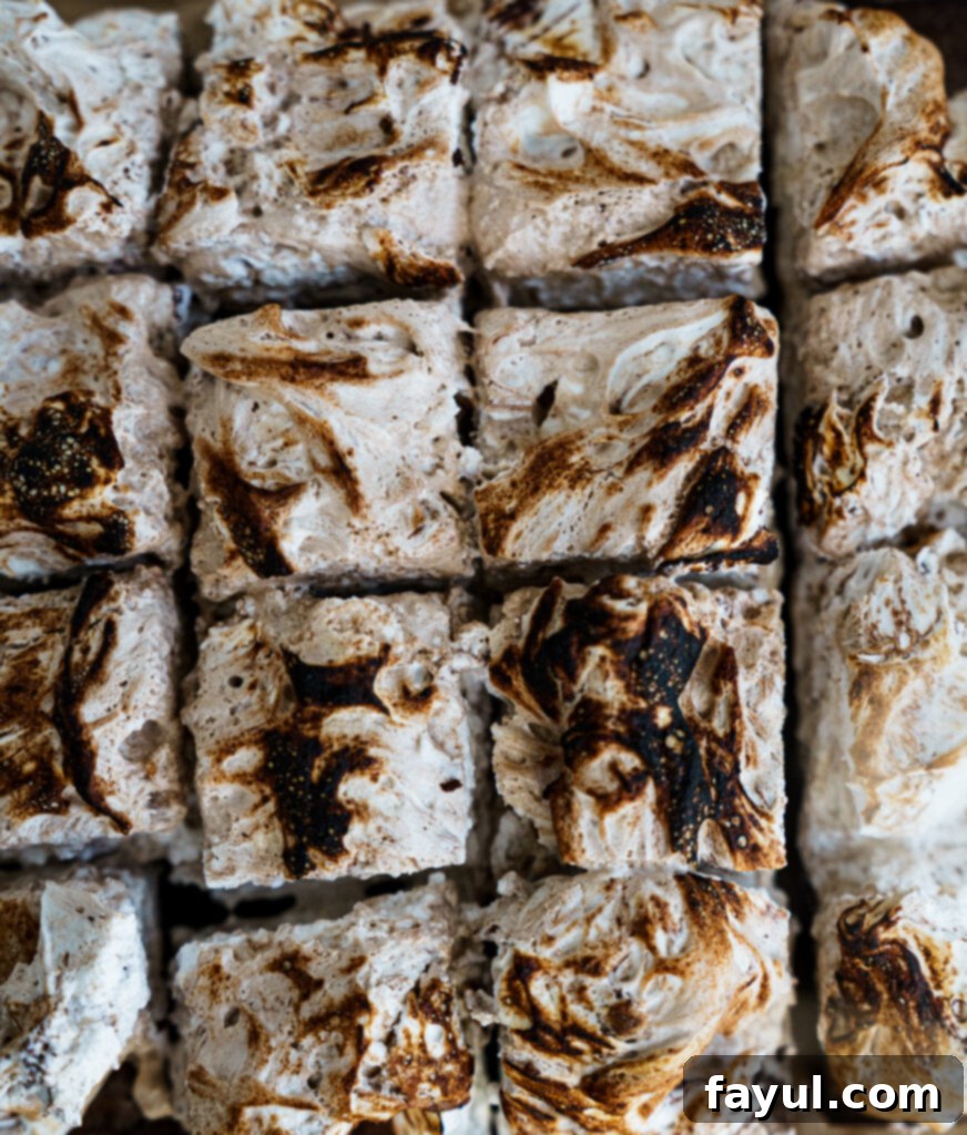 Fudgy hot chocolate brownies with marshmallow fluff