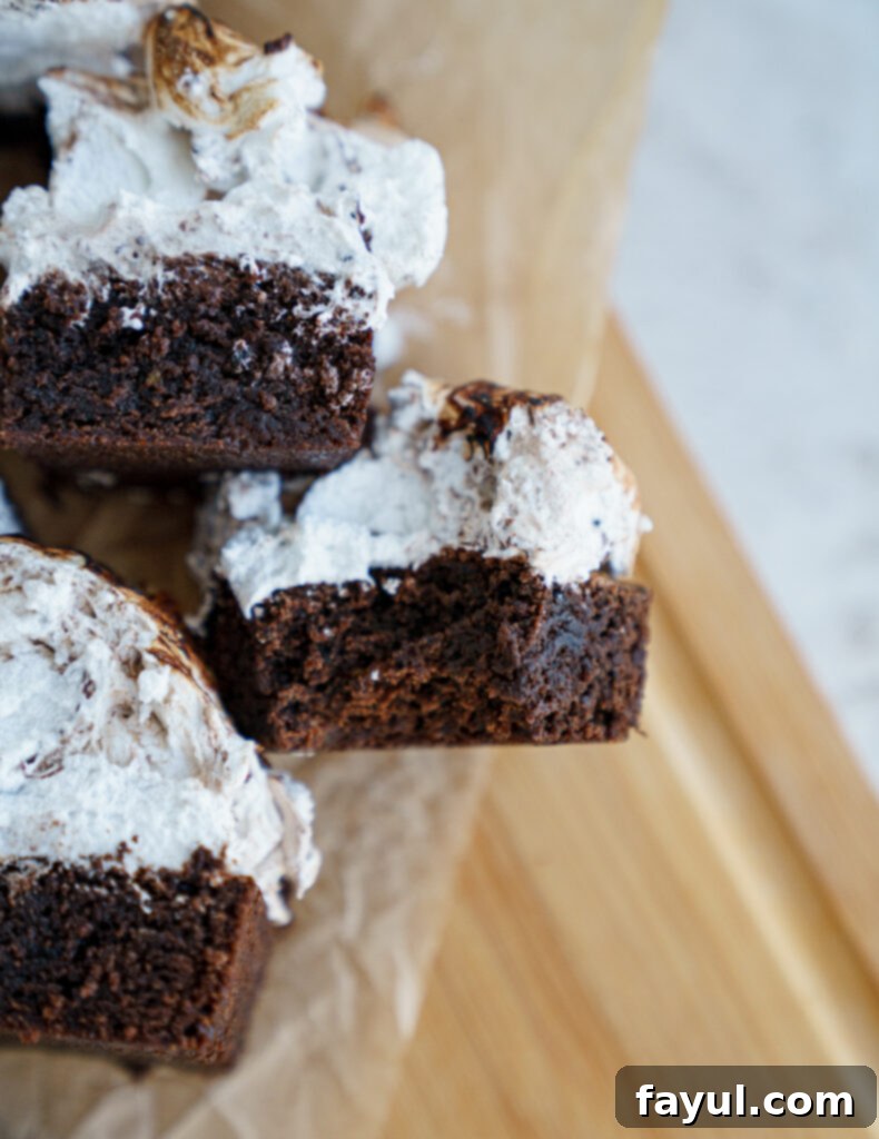 Hot chocolate brownies in a pan