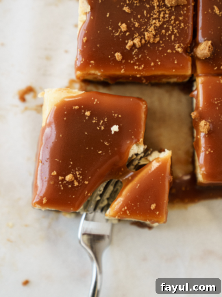 Caramel Biscoff Cheesecake Bars with a generous layer of salted caramel on top