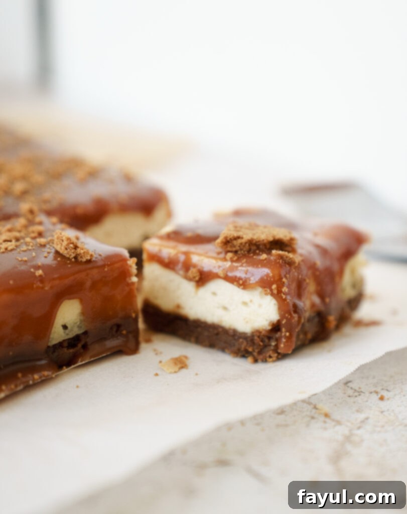 Close-up of a slice of Salted Caramel Biscoff Cheesecake Bar showing layers of crust, cheesecake, and caramel.