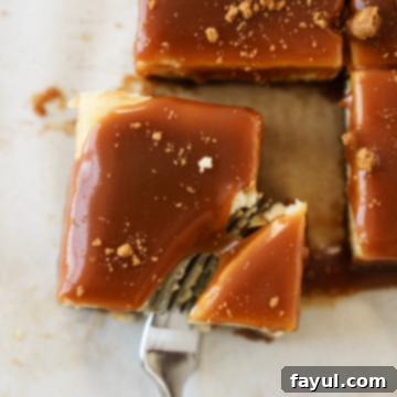 Salted Caramel Biscoff Cheesecake Bars with an overhead view