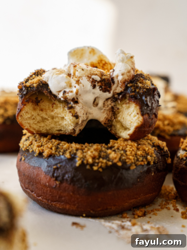 brioche s'mores donut