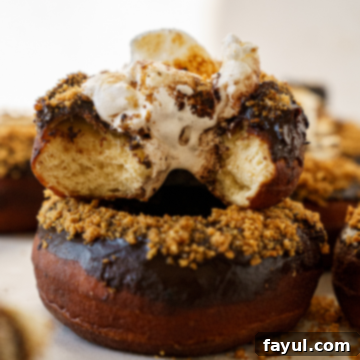 brioche s'mores donut