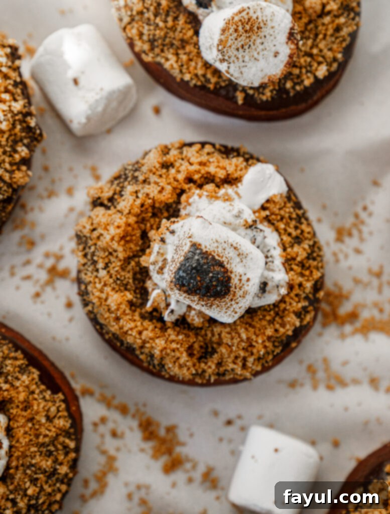 Brioche S’mores Donuts